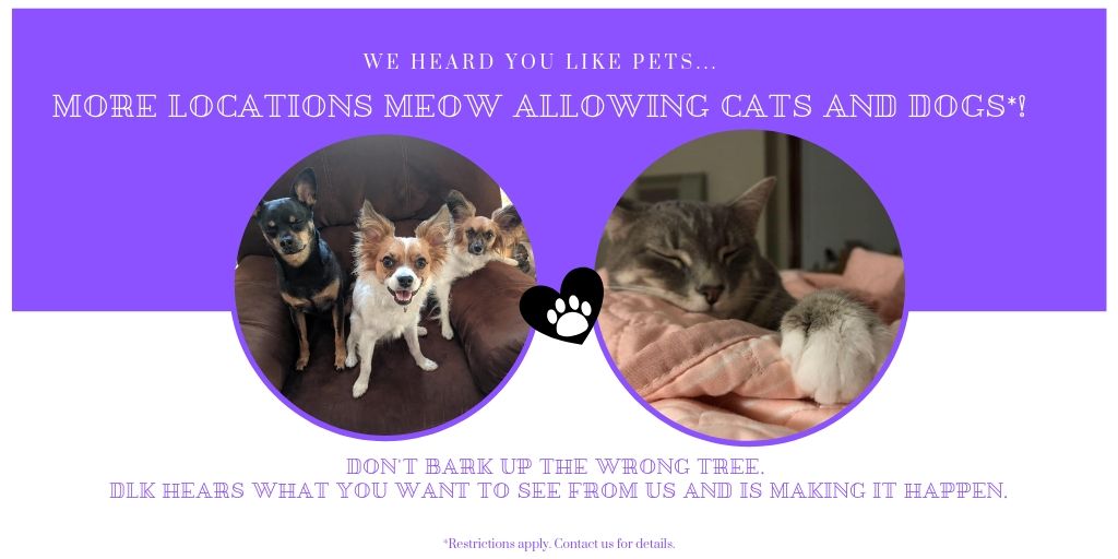 DLK Rentals The Leader in UWWhitewater Student Rentals